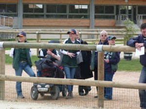 CPEDI3* Deauville 2011 trot up